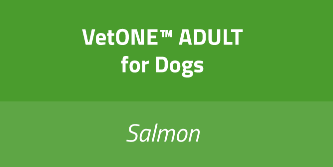 Adult Dog Salmon