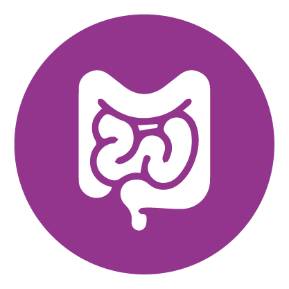 VetONE™ KITTEN – VetONE™