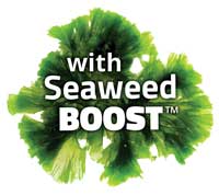 Seaweed BOOST